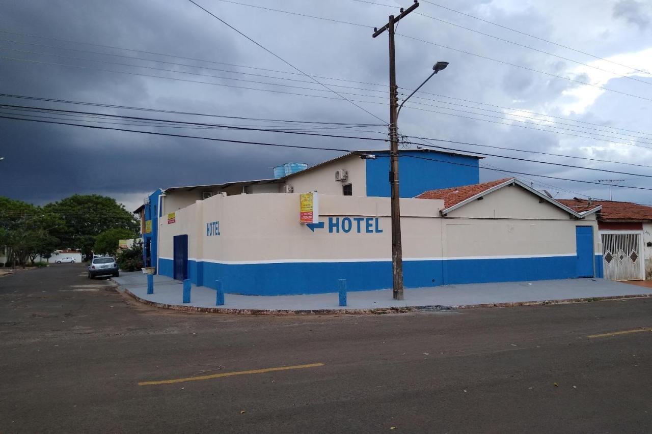 Arara Azul *